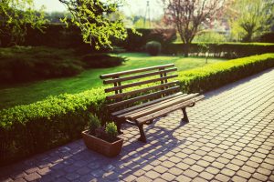 Empty park bench on a sunny day.