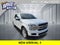 2019 Ford F-150 Platinum V8