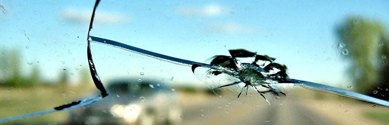 Windshield Protection | Randy Wise Buick GMC in Fenton MI